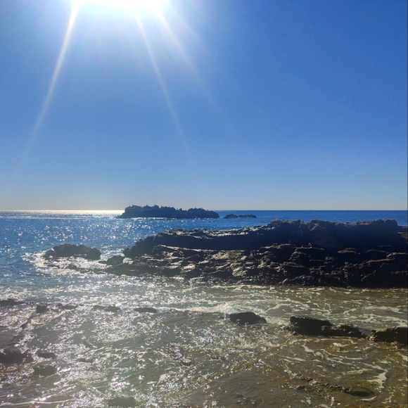 Meet your Posher, Bonnie - Picture 1 of 1